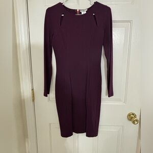 Plum dress